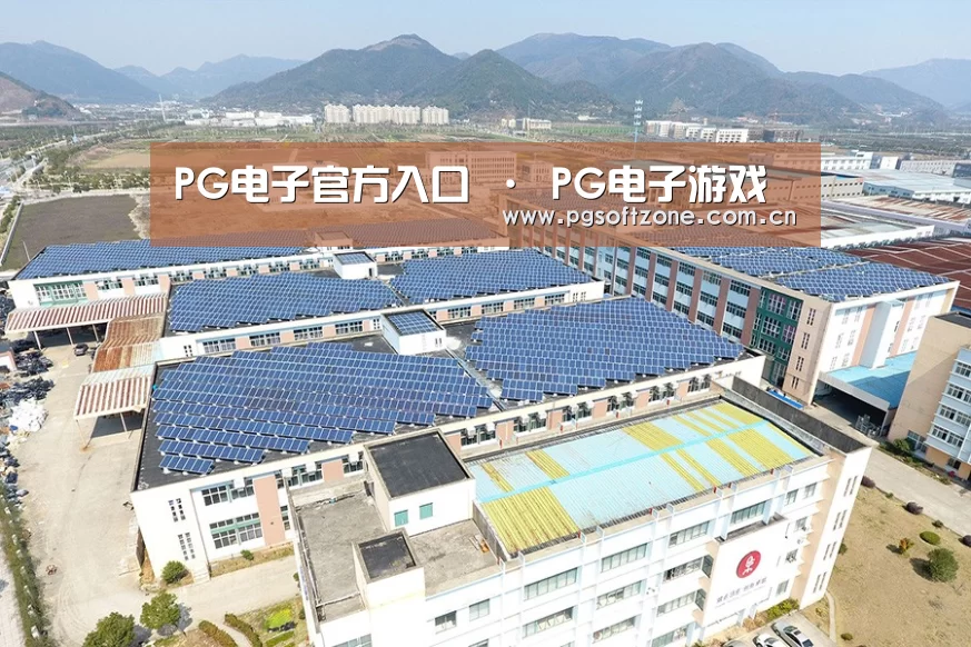案例展示二