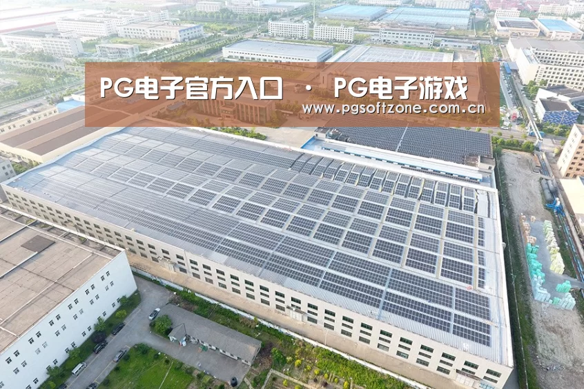 案例展示一