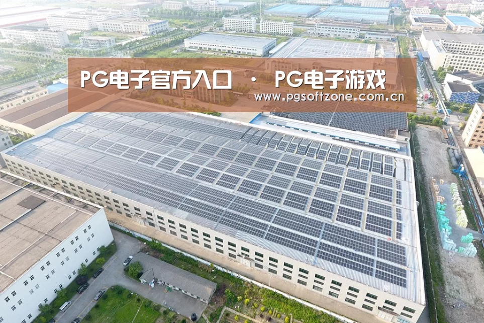 案例展示二