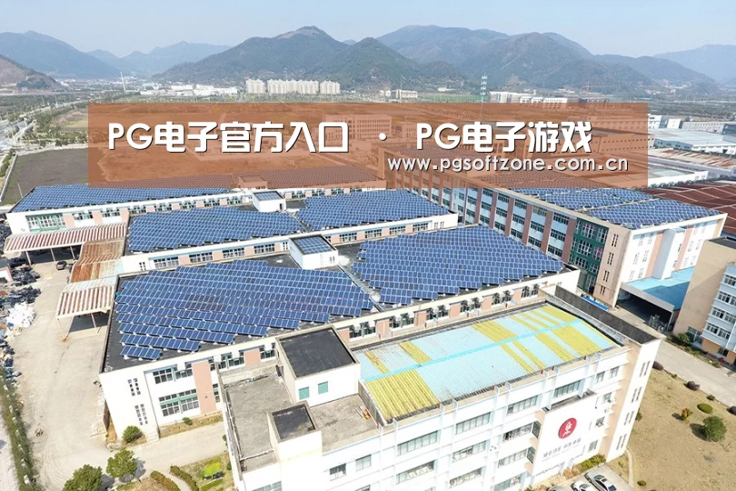 案例展示四