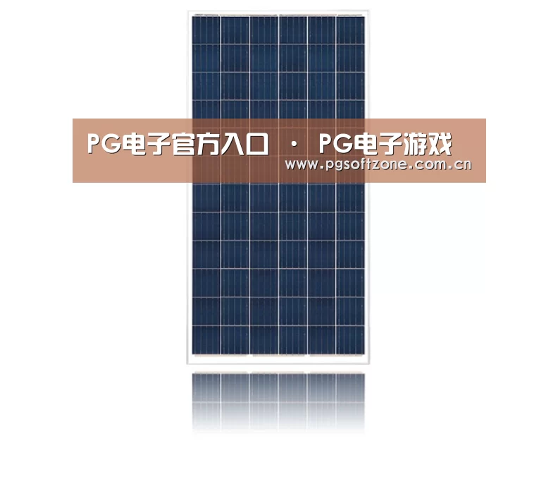 产品名称一