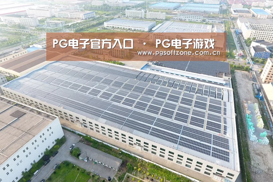案例展示二