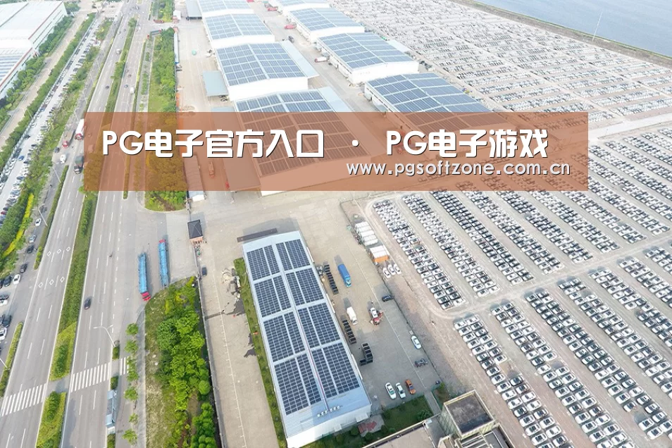 案例展示一