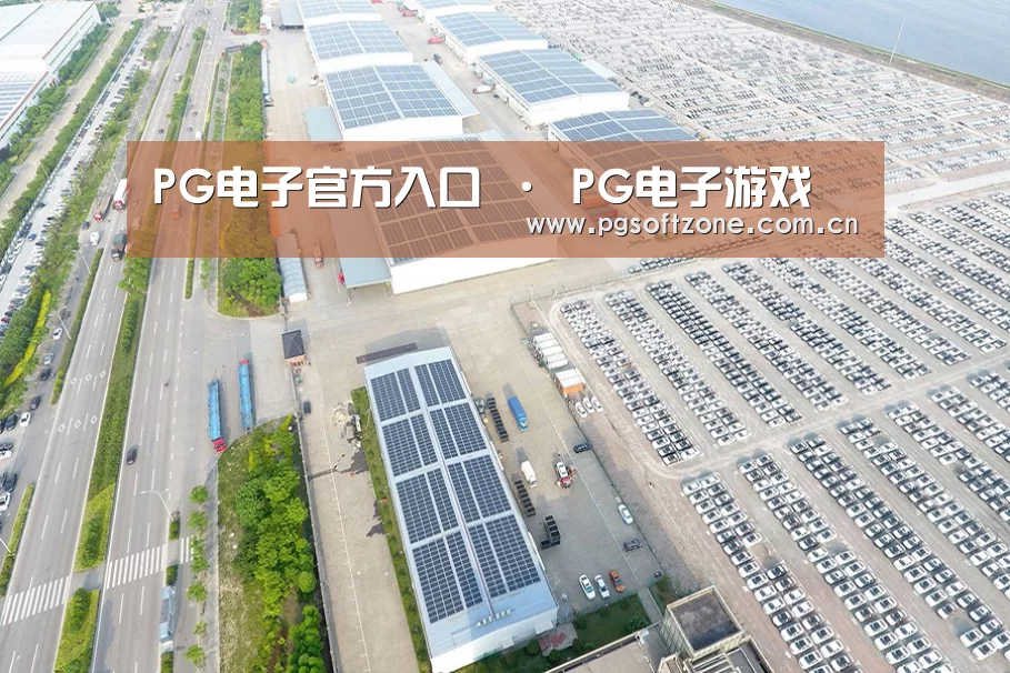 案例展示一
