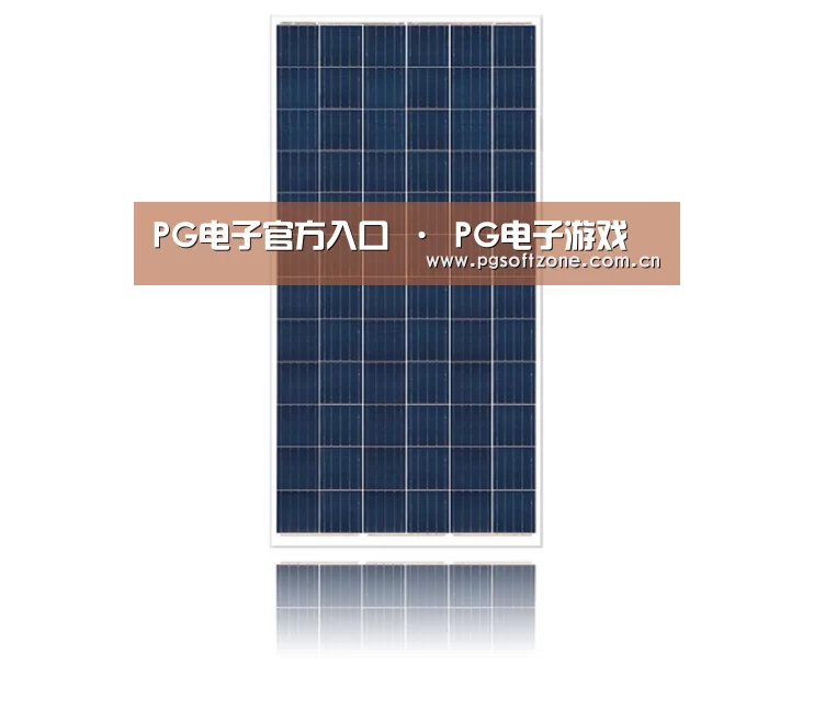 产品名称一