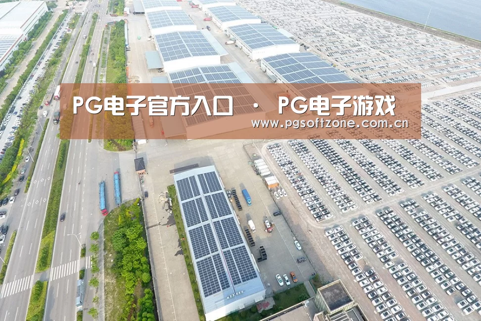 案例展示四