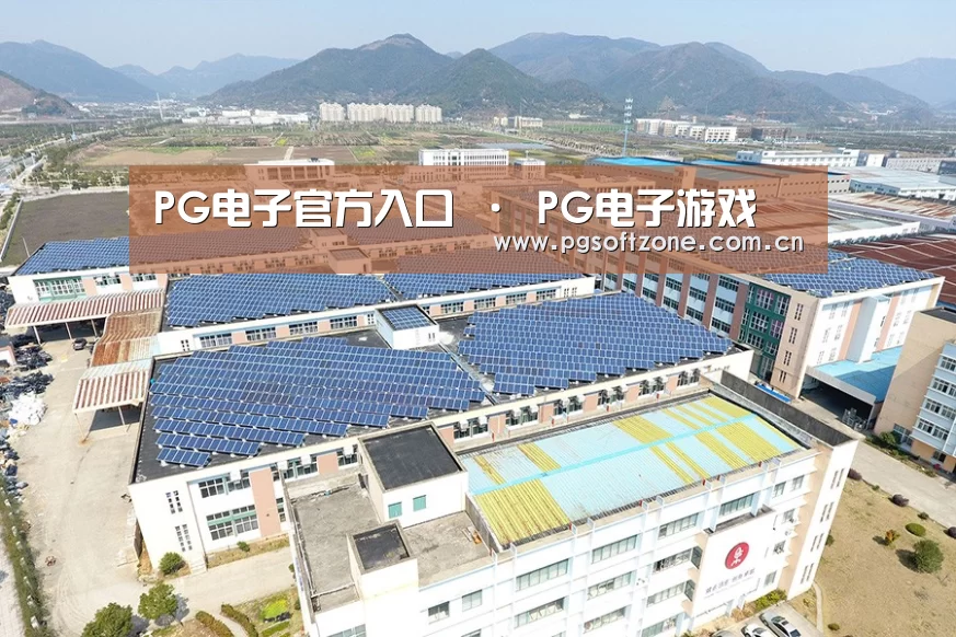 案例展示三