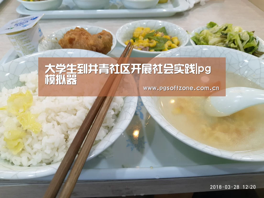 大学生到井青社区开展社会实践|pg模拟器(图3) pg游戏试玩平台