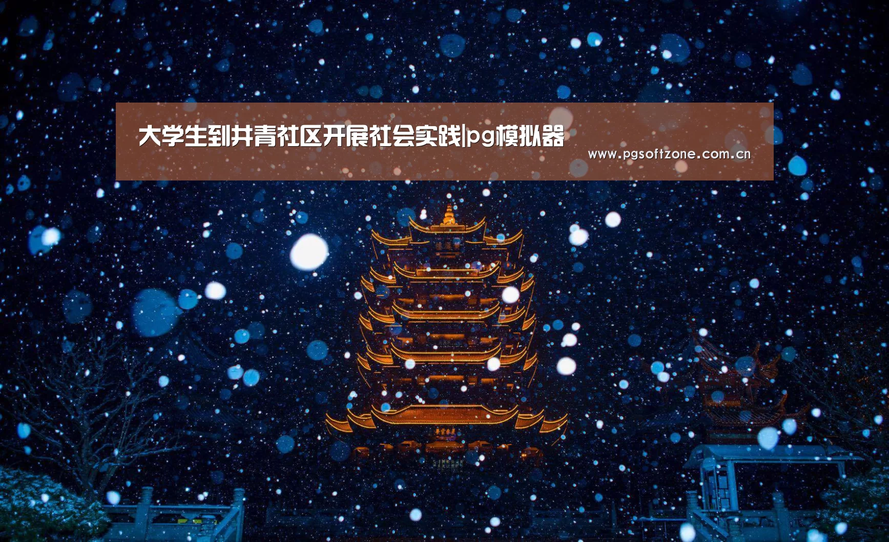 大学生到井青社区开展社会实践|pg模拟器(图2) pg模拟器