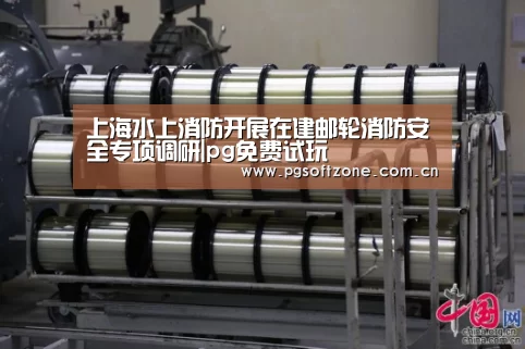 上海水上消防开展在建邮轮消防安全专项调研|pg免费试玩(图1) pg电子游戏