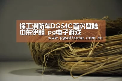 徐工消防车DG54C首次登陆中东伊朗_pg电子游戏(图2) pg游戏试玩平台