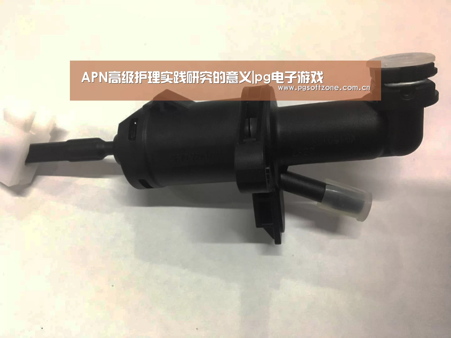 APN高级护理实践研究的意义|pg电子游戏(图2) pg免费试玩